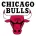 Chicago Bulls