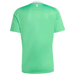 Manchester United Goalkeeper Jersey 2025/26 - Cancha Kits