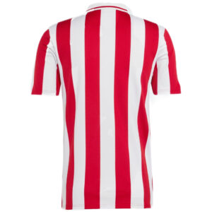 Olympiacos 100th anniversary Centenary Jersey 2025 - Cancha Kits