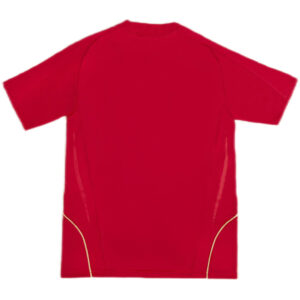 Retro Spain Home Jersey 2008 - Cancha Kits